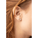 23536 -modelo-